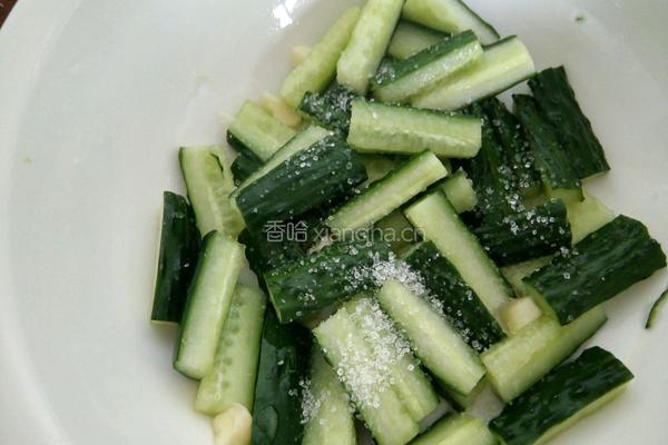 酸辣甜黄瓜条的做法图解4