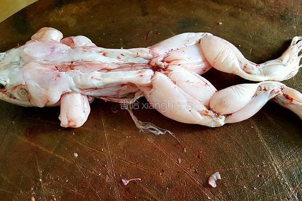 青椒炒牛蛙的做法图解4