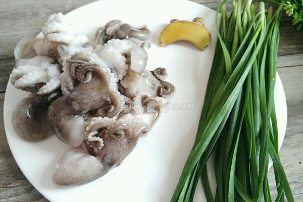 墨鱼仔炒韭菜的做法图解1