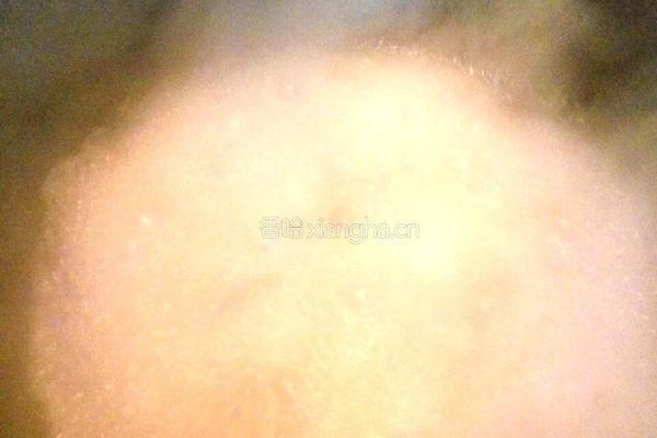 玉树挂金钱的做法图解2