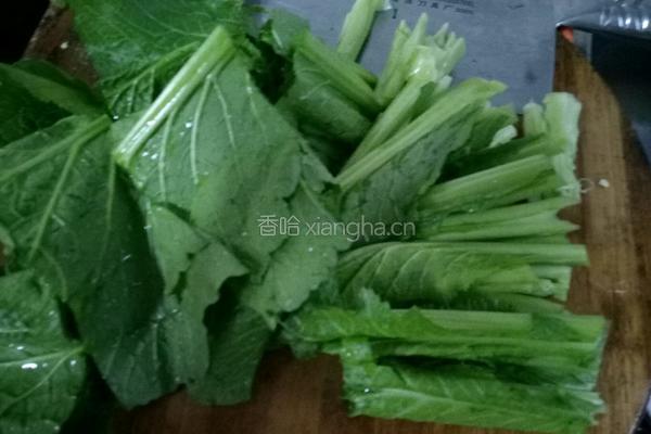 炒芥菜的做法图解2