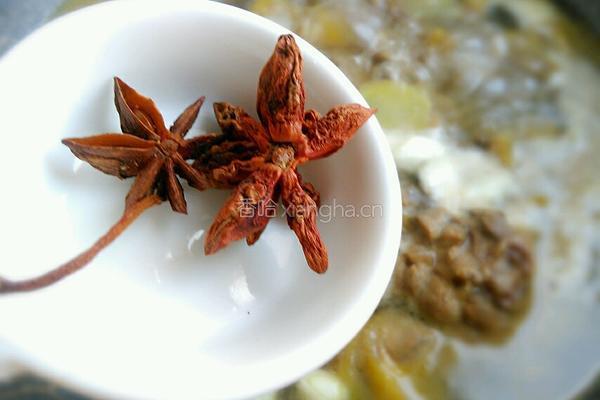 小鸡蘑菇炖粉条的做法图解11