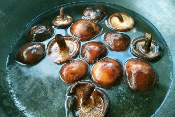 红烧鸡肉土豆的做法图解6