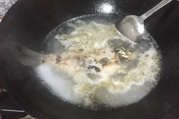 鲫鱼汤的做法图解6