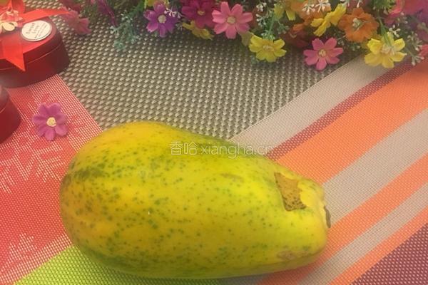 木瓜炖燕窝的做法图解18