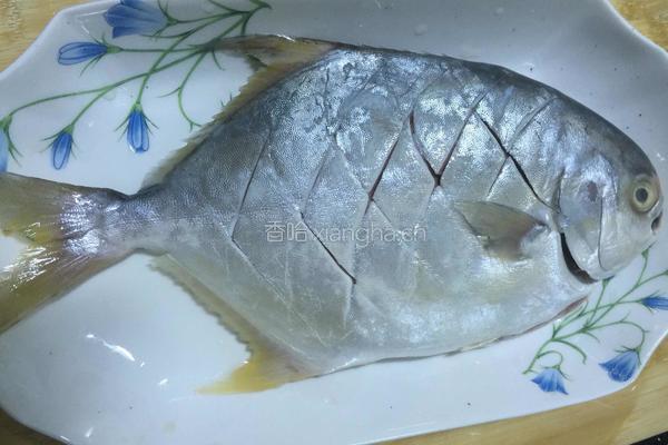 葱油武鲳鱼的做法图解2