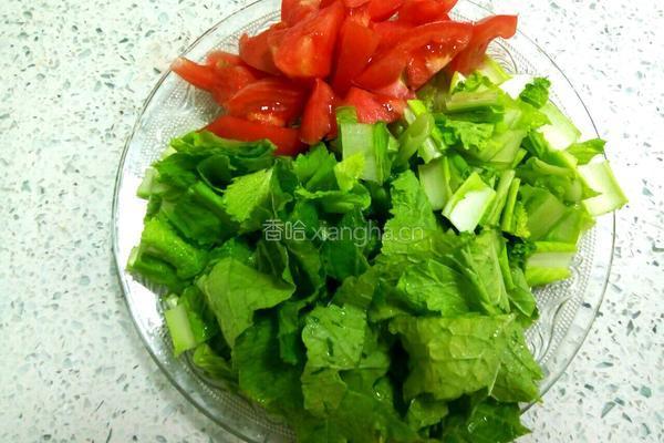 白菜面条的做法图解2