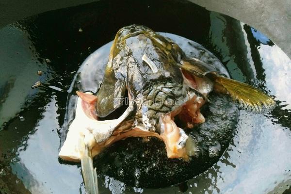 砂锅鱼头豆腐的做法图解2