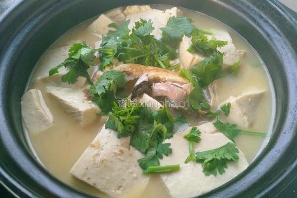 砂锅鱼头豆腐的做法图解8