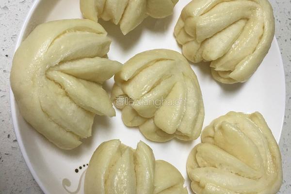 白菜（百财）卷的做法图解13