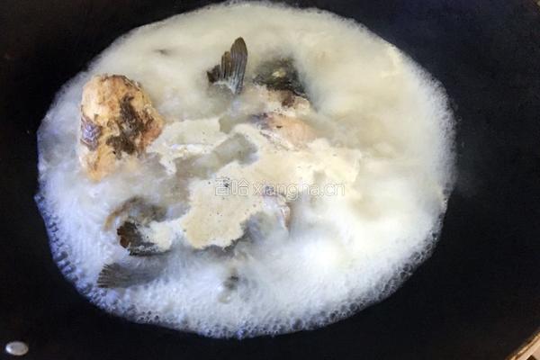 鲤鱼豆腐的做法图解4