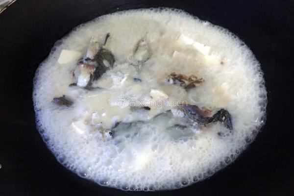 鲤鱼豆腐的做法图解6
