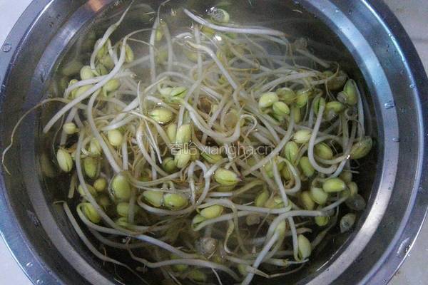 辣炒豆芽的做法图解1