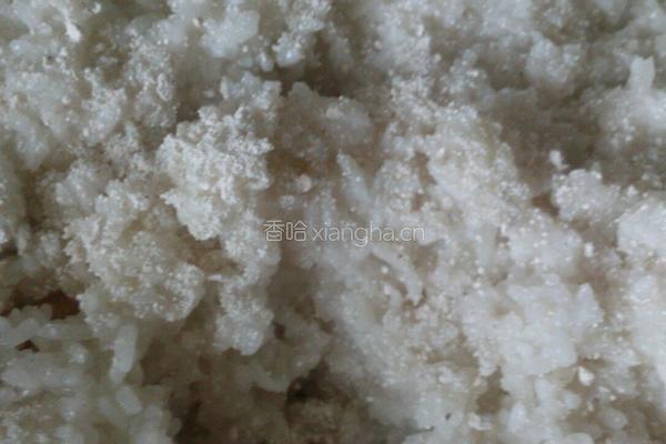 自制米酒的做法图解6