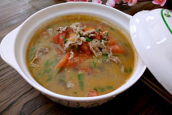 蕃茄牛肉的做法图解10