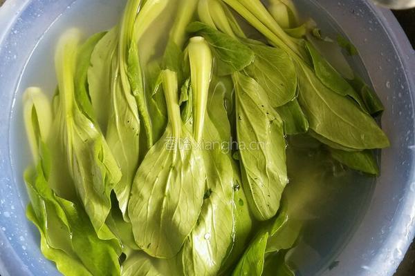 炒小油菜的做法图解1
