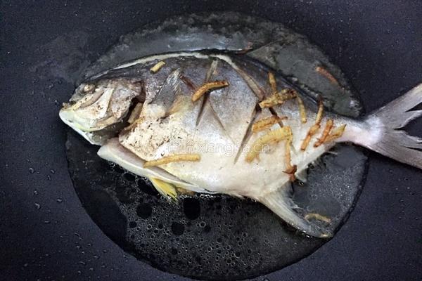 红烧银鲳鱼的做法图解5