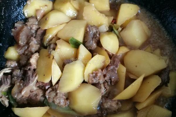 土豆炖牛肉的做法图解4