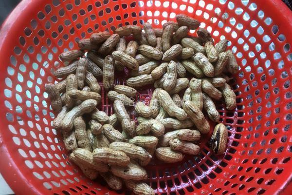 蒜香花生的做法图解2
