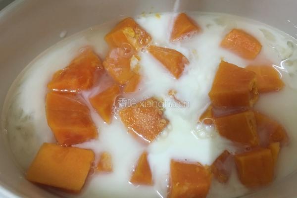 木瓜牛奶炖银耳的做法图解10