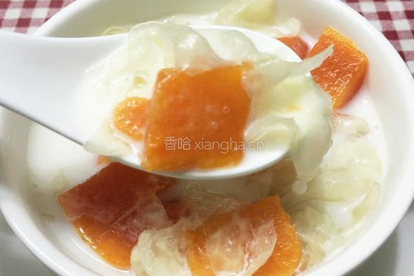 木瓜牛奶炖银耳的做法图解14