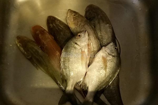 家焖杂瓣鱼的做法图解1
