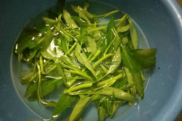 腐乳炒通菜的做法图解1
