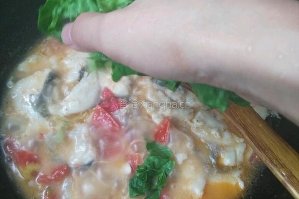 番茄焖鱼的做法图解8