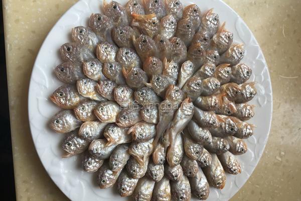 家炖大头宝鱼的做法图解3