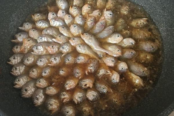 家炖大头宝鱼的做法图解15