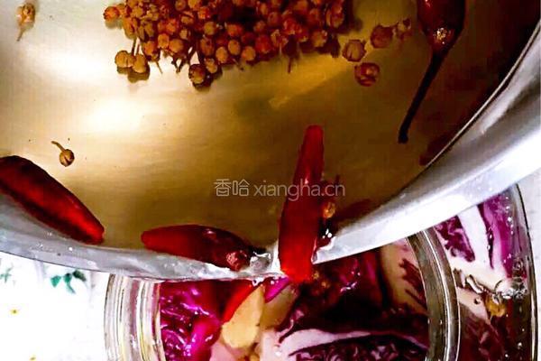 腌酸菜的做法图解6