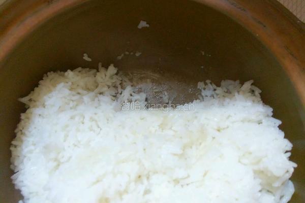 砂锅煮饭的做法图解10