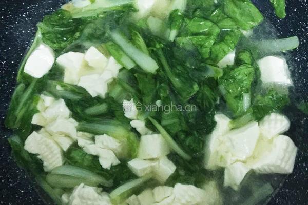 小白菜炖豆腐的做法图解5