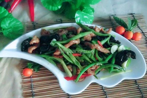 肉丝炒豆角