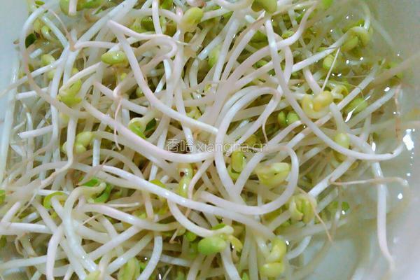 猪肉炒豆芽的做法图解1