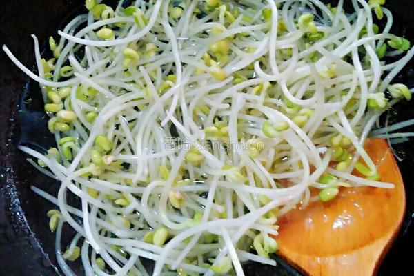 猪肉炒豆芽的做法图解3