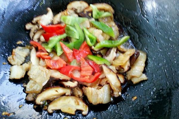 小炒鲜香菇的做法图解8