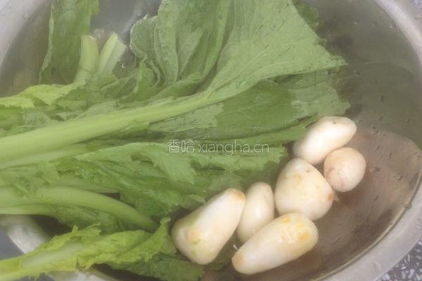 特色芥菜饭的做法图解1