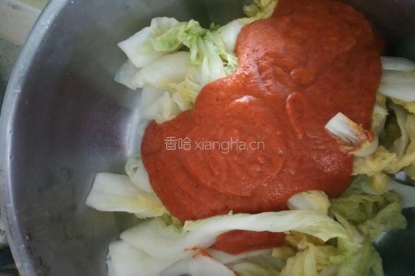 韩国腌白菜的做法图解7