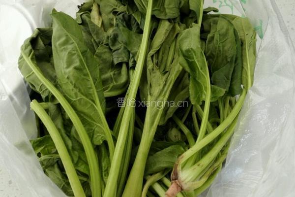 枸杞拌菠菜的做法图解1