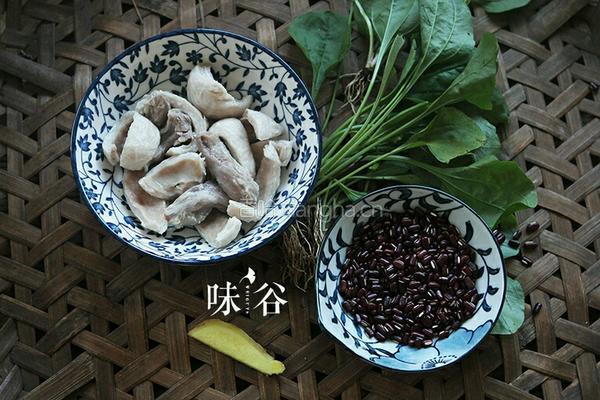 车前草煲猪小肚的做法图解3