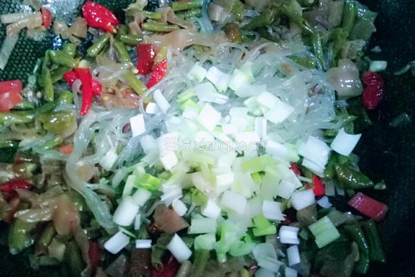 泡菜炒粉条的做法图解7