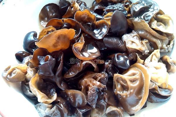 鸡肉炒木耳的做法图解1