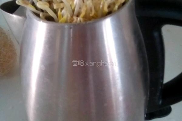 发豆芽的做法图解3