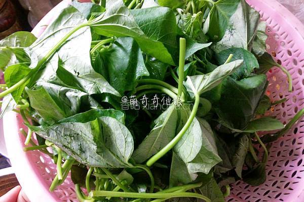 炝炒红薯叶的做法图解2