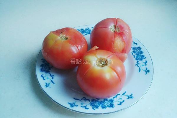 番茄炖排骨汤的做法图解3