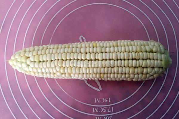 玉米煎饼的做法图解1