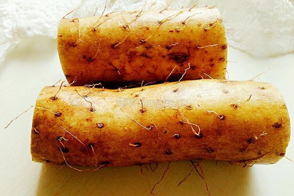 薏米芡实山药粥的做法图解3