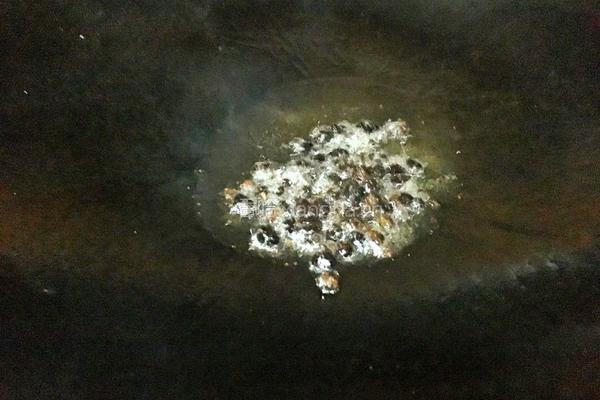 豉椒牛肉炒河粉的做法图解4
