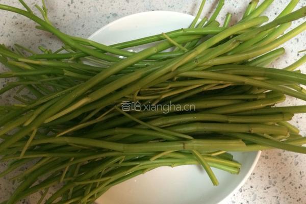炒空心菜梗的做法图解1